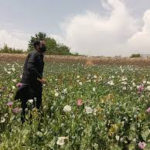 7DB5AE6B-6A78-475C-9EBE-E691B6687CC5