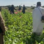 8931E12B-3B78-4228-808E-41850156A98B