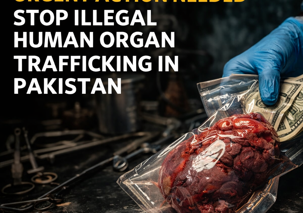"FIA raid in Islamabad uncovers illegal human placenta processing plant linked to international trafficking network."