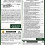 ADVERTISEMENTS GOVT OF BALOCHISTAN TENDER NOTICES