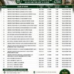 Public Health Engineering Division Chagai tender notice for 33 BSDI Phase III water supply, solar and infrastructure projects in Balochistan