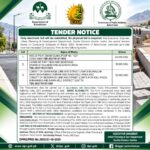 Quetta development projects tender notice 2026 issued by the Urban Planning and Development Department, featuring WSS, sewerage drains, tuff tiles and street lighting projects.